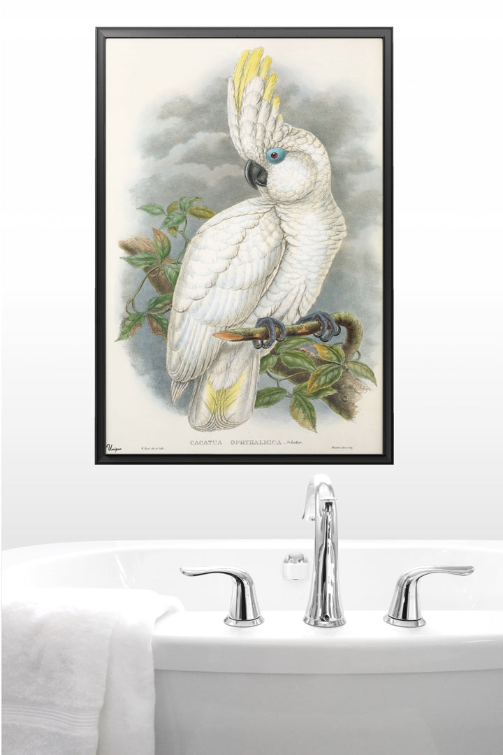 WANDBILD „Weißer Kakadu“ – Acrylglas & Alu-Dibond | Klassische und Zeitlose Kunst in Museumsqualität