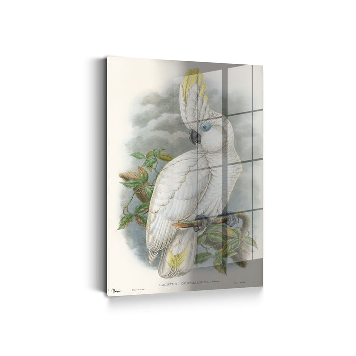 WANDBILD „Weißer Kakadu“ – Acrylglas & Alu-Dibond | Klassische und Zeitlose Kunst in Museumsqualität