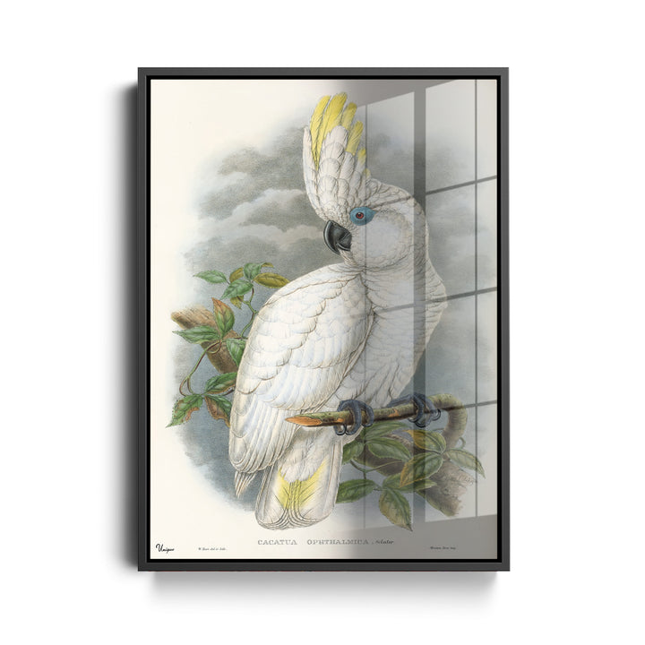WANDBILD „Weißer Kakadu“ – Acrylglas & Alu-Dibond | Klassische und Zeitlose Kunst in Museumsqualität