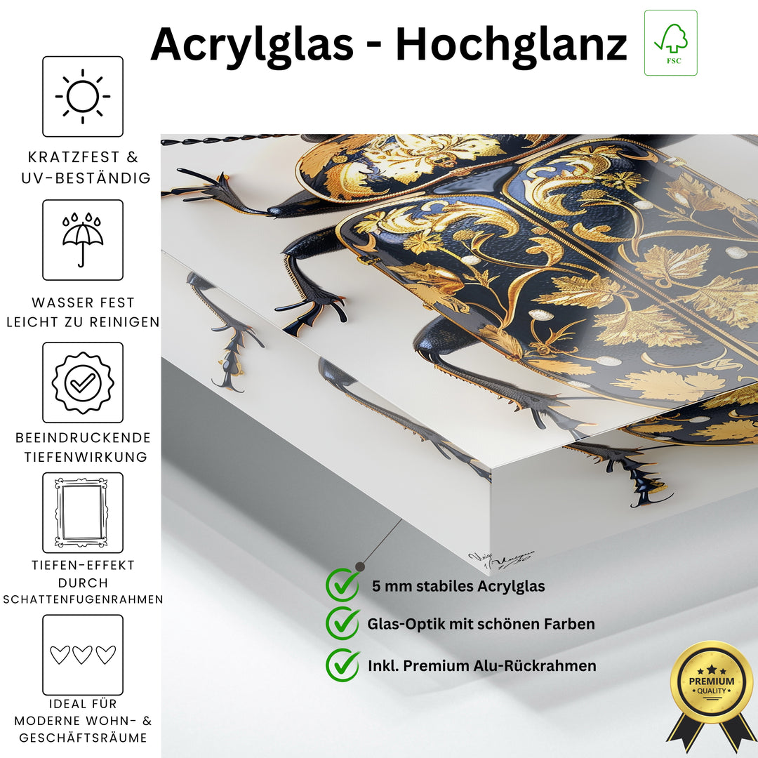 Gold-Schwarzer Ornamentkäfer