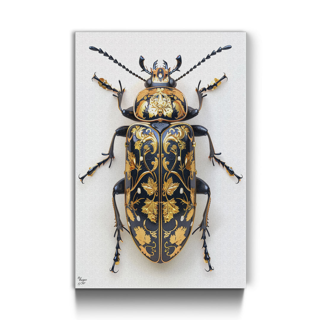 Gold-Schwarzer Ornamentkäfer