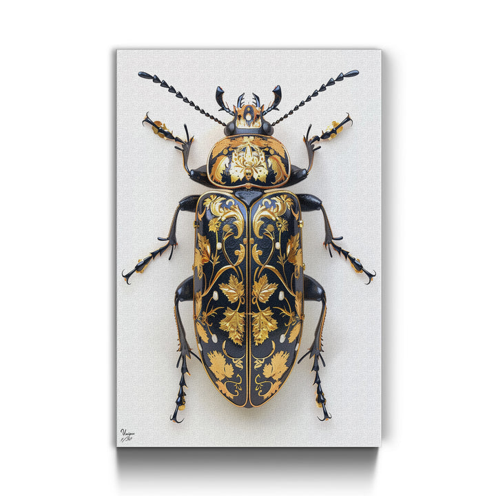 Gold-Schwarzer Ornamentkäfer