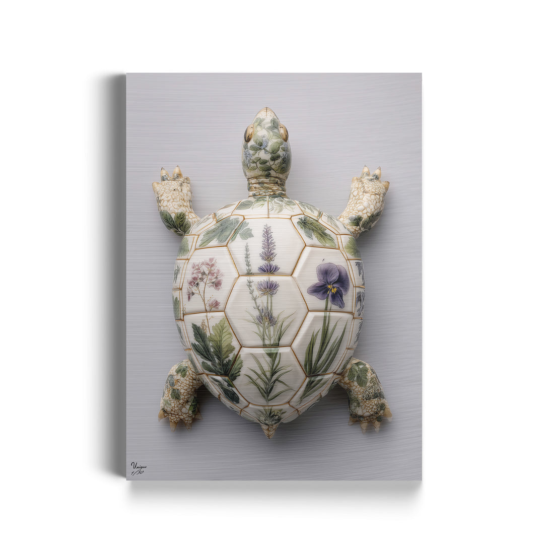 Herbarium Blanc Schildkröte