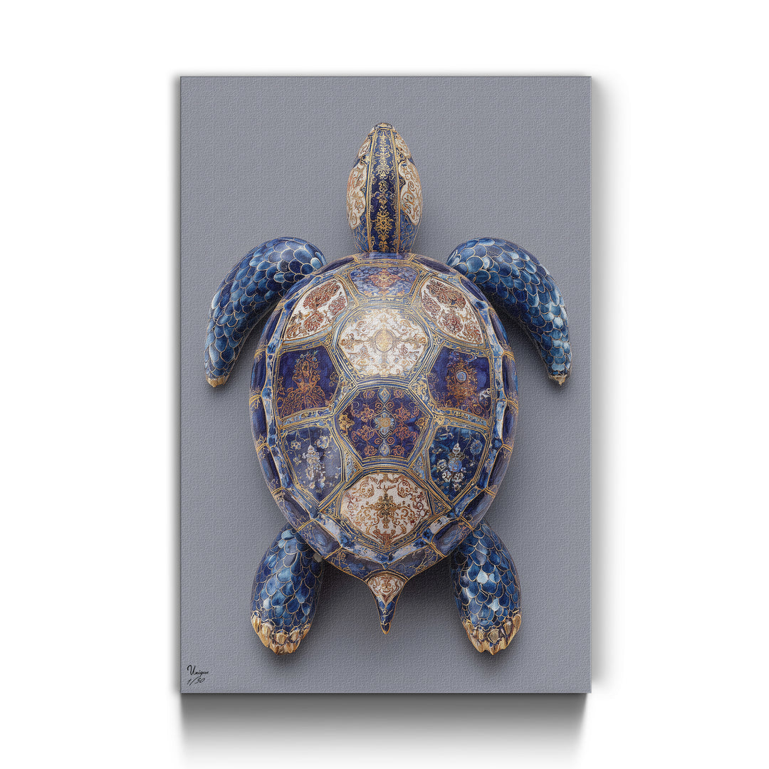 Azure Regalis Schildkröte