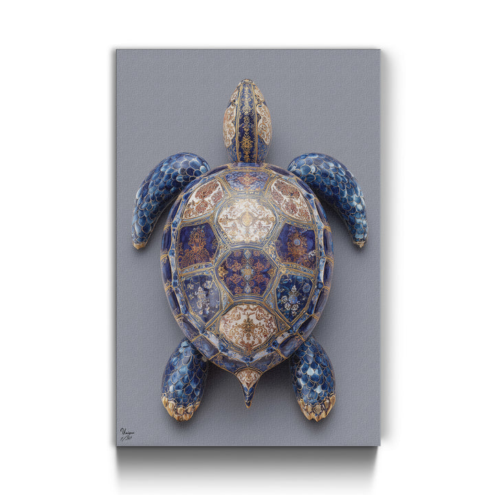 Azure Regalis Schildkröte