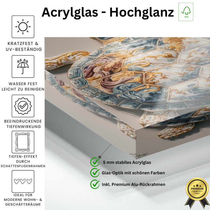 Aurelia Mare Schildkröte