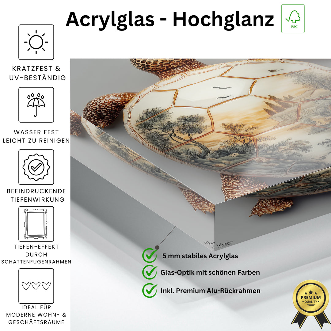 Pastorale Aurora Schildkröte