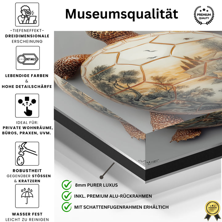 Pastorale Aurora Schildkröte