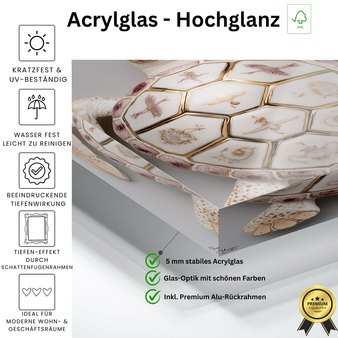 Aurora Seraphim Schildkröte