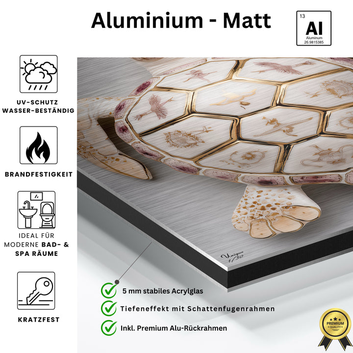 Aurora Seraphim Schildkröte