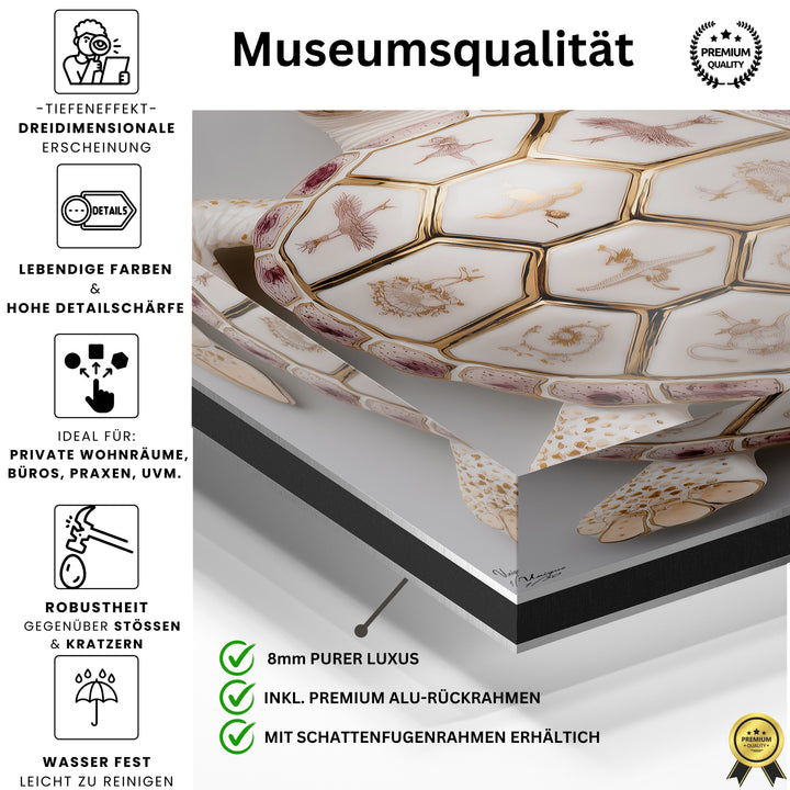 Aurora Seraphim Schildkröte