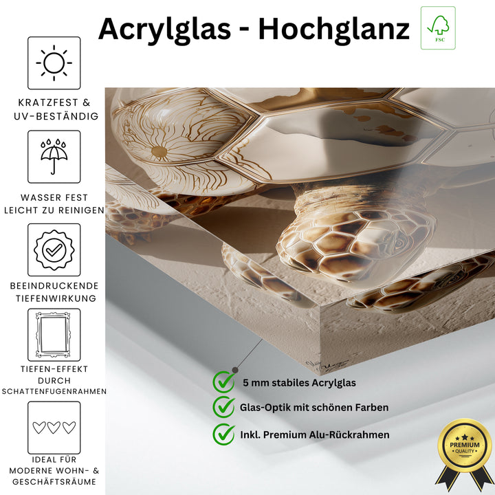 Solara Terra Schildkröte