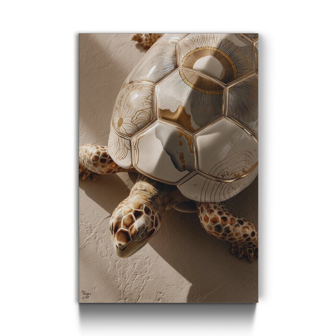 Solara Terra Schildkröte