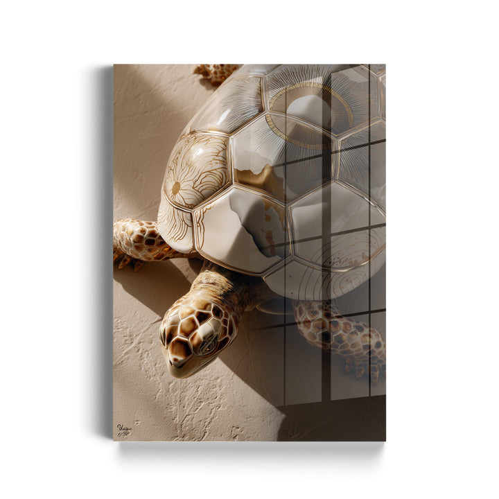 Solara Terra Schildkröte