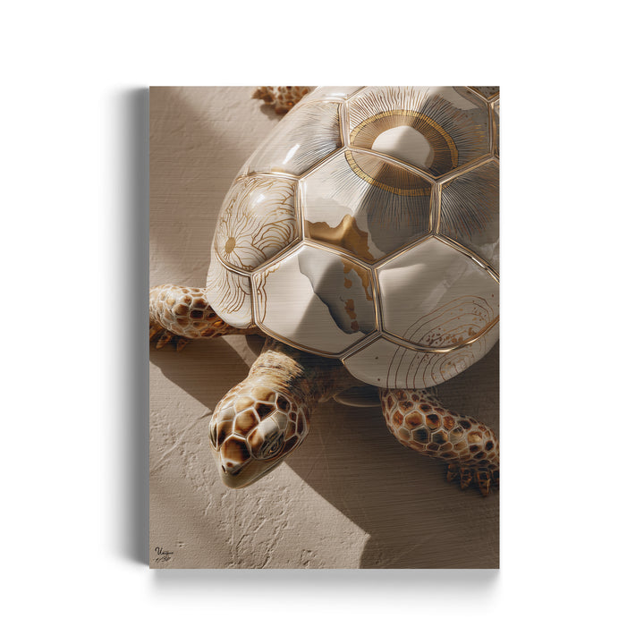 Solara Terra Schildkröte