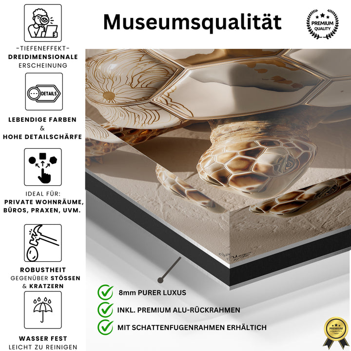 Solara Terra Schildkröte