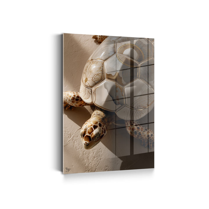 Solara Terra Schildkröte