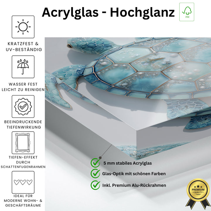 Aqua Perla Schildkröte