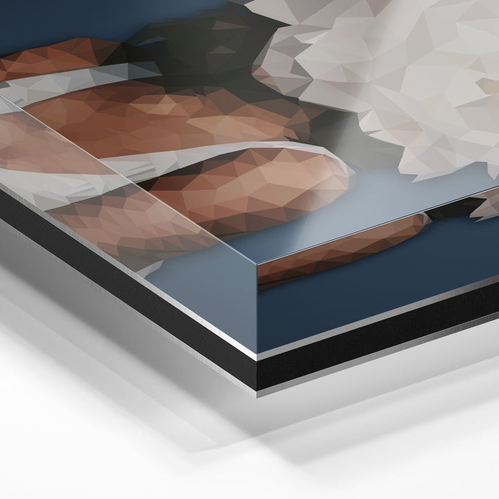 WANDBILD „Geometrische Anmut - POLYGONBILD - Elisabeth“ – Acrylglas & Alu-Dibond | Exklusive und Moderne Kunst in Museumsqualität