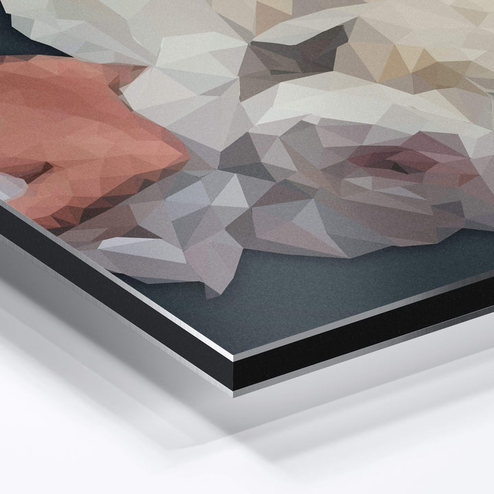 WANDBILD „Geometrische Anziehungskraft - POLYGONBILD - Isabella“ – Acrylglas & Alu-Dibond | Exklusive und Moderne Kunst in Museumsqualität