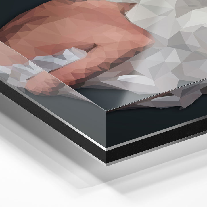 WANDBILD „Geometrische Anziehungskraft - POLYGONBILD - Isabella“ – Acrylglas & Alu-Dibond | Exklusive und Moderne Kunst in Museumsqualität