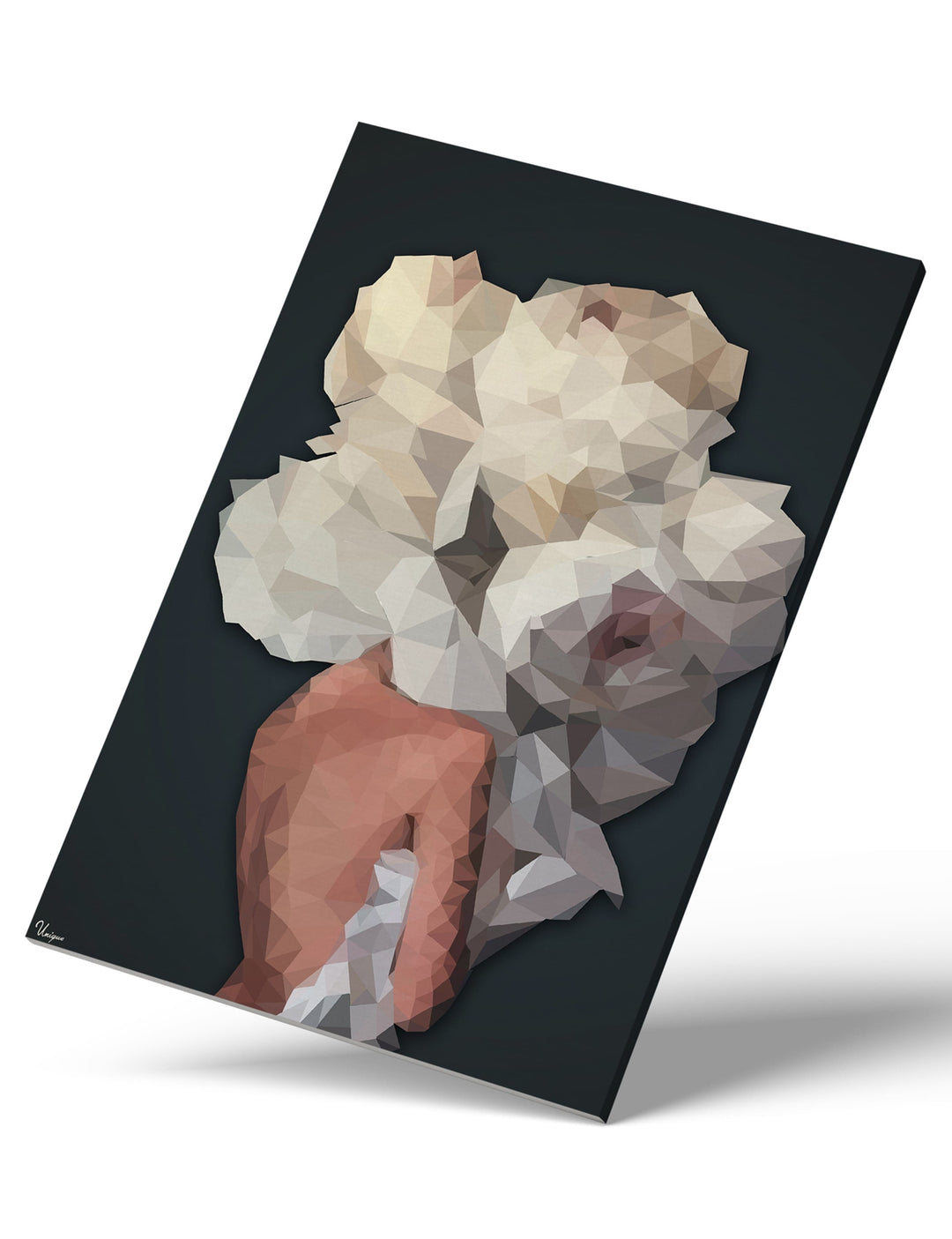 WANDBILD „Geometrische Anziehungskraft - POLYGONBILD - Isabella“ – Acrylglas & Alu-Dibond | Exklusive und Moderne Kunst in Museumsqualität